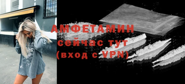 прущие грибы Абаза