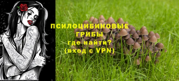 ПСИЛОЦИБИНОВЫЕ ГРИБЫ Абинск