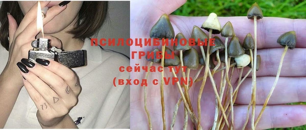 бошки Абдулино