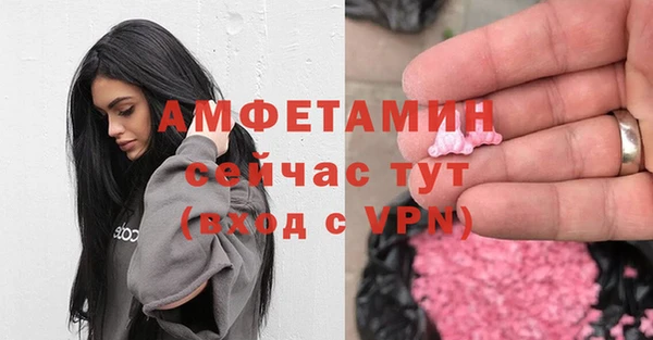 прущие грибы Абаза